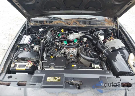 2011 Ford Crown Victoria Police Interceptor z USA, uszkodzony, nr VIN 2FABP7BV6BX101754